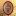 Shl