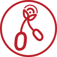 La radio sous la cerise